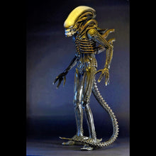 Load image into Gallery viewer, 1/4 Scale Action Figure – 1979 Alien Xenomorph