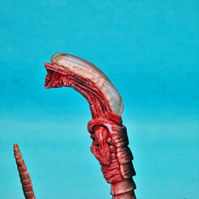 Load image into Gallery viewer, 1/6 Alien Chestburster - MJ@TreasureHearts Toys & Collectibles