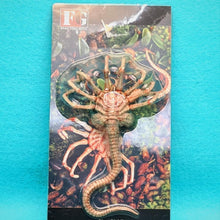 Load image into Gallery viewer, 1/6 Alien Facehugger - MJ@TreasureHearts Toys & Collectibles