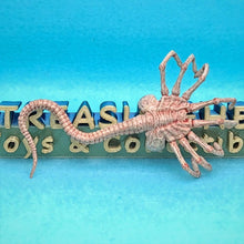 Load image into Gallery viewer, 1/6 Alien Facehugger - MJ@TreasureHearts Toys & Collectibles
