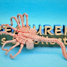 Load image into Gallery viewer, 1/6 Alien Facehugger - MJ@TreasureHearts Toys & Collectibles