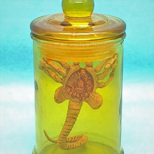 Load image into Gallery viewer, 1/6 Alien Facehugger (with Bottle Experiment) - MJ@TreasureHearts Toys & Collectibles