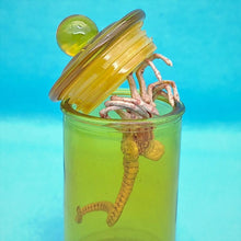 Load image into Gallery viewer, 1/6 Alien Facehugger (with Bottle Experiment) - MJ@TreasureHearts Toys & Collectibles