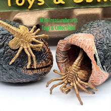 Load image into Gallery viewer, 7 Inch Alien Egg & Facehugger Pack - MJ@TreasureHearts Toys & Collectibles