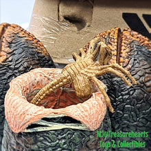 Load image into Gallery viewer, 7 Inch Alien Egg & Facehugger Pack - MJ@TreasureHearts Toys & Collectibles