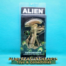 Load image into Gallery viewer, 7" Scale Action Figures - Big Chap Xenomorph Alien - MJ@TreasureHearts Toys & Collectibles
