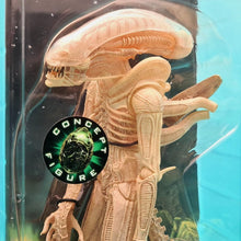 Load image into Gallery viewer, 7" Scale Action Figures - Big Chap Xenomorph Alien - MJ@TreasureHearts Toys & Collectibles