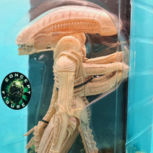 Load image into Gallery viewer, 7" Scale Action Figures - Big Chap Xenomorph Alien - MJ@TreasureHearts Toys & Collectibles