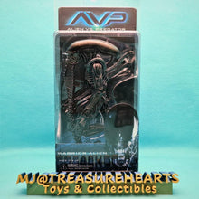 Load image into Gallery viewer, 7" Scale Action Figures - Warrior Alien - MJ@TreasureHearts Toys & Collectibles