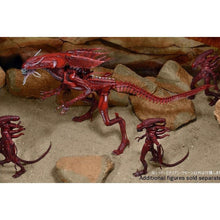 Load image into Gallery viewer, 7inch Ultra DX Genocide Red Alien Queen - MJ@TreasureHearts Toys & Collectibles