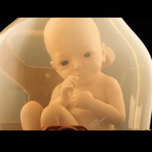 Load image into Gallery viewer, Death Stranding BBPOD Like Ver 11 Complete Figure Closeup1