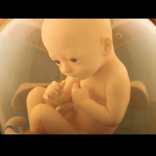Load image into Gallery viewer, Death Stranding BBPOD Like Ver 11 Complete Figure Closeup2