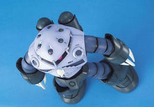 Load image into Gallery viewer, MG 1/100 MSM-07 Z'Gok Principal of Zeon