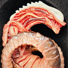 Load image into Gallery viewer, The Horrible Lab Series Part 1 - Larva - MJ@TreasureHearts Toys & Collectibles