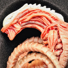 Load image into Gallery viewer, The Horrible Lab Series Part 1 - Larva - MJ@TreasureHearts Toys & Collectibles