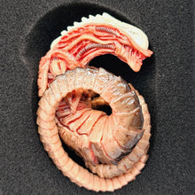 Load image into Gallery viewer, The Horrible Lab Series Part 1 - Larva - MJ@TreasureHearts Toys & Collectibles
