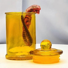 Load image into Gallery viewer, 1/6 Alien Chestburster (with Bottle Experiment) - MJ@TreasureHearts Toys &amp; Collectibles
