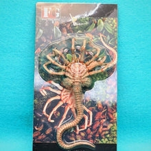 Load image into Gallery viewer, 1/6 Alien Facehugger - MJ@TreasureHearts Toys &amp; Collectibles

