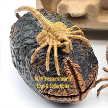 Load image into Gallery viewer, 7 Inch Alien Egg &amp; Facehugger Pack - MJ@TreasureHearts Toys &amp; Collectibles
