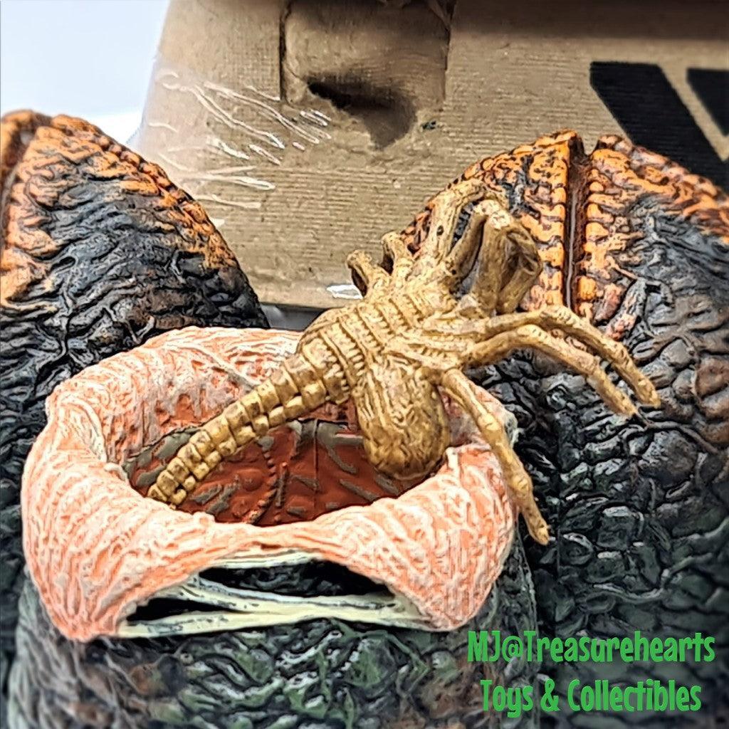 7 Inch Alien Egg & Facehugger Pack – MJ@TreasureHearts Toys & Collectibles