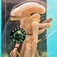 Load image into Gallery viewer, 7&quot; Scale Action Figures - Big Chap Xenomorph Alien - MJ@TreasureHearts Toys &amp; Collectibles
