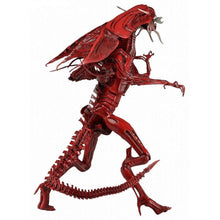 Load image into Gallery viewer, 7inch Ultra DX Genocide Red Alien Queen - MJ@TreasureHearts Toys &amp; Collectibles
