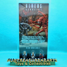 Load image into Gallery viewer, Alien - 7inch Action Figure Series 5 - Genocide Black Alien - MJ@TreasureHearts Toys &amp; Collectibles
