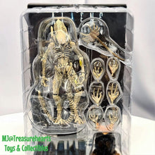 Load image into Gallery viewer, Aliens Colonial Marines 1/18 Xeno Boiler - MJ@TreasureHearts Toys &amp; Collectibles
