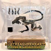 Load image into Gallery viewer, ARTFX+ Alien Warrior 1/10 Pre-Painted Model Kit - MJ@TreasureHearts Toys &amp; Collectibles
