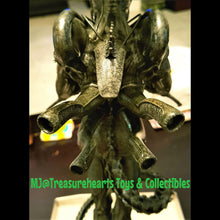 Load image into Gallery viewer, Internecivus Raptus Alien Back
